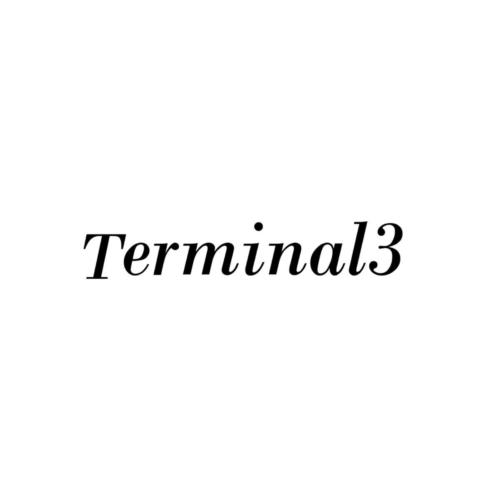 adv-Terminal 3 11